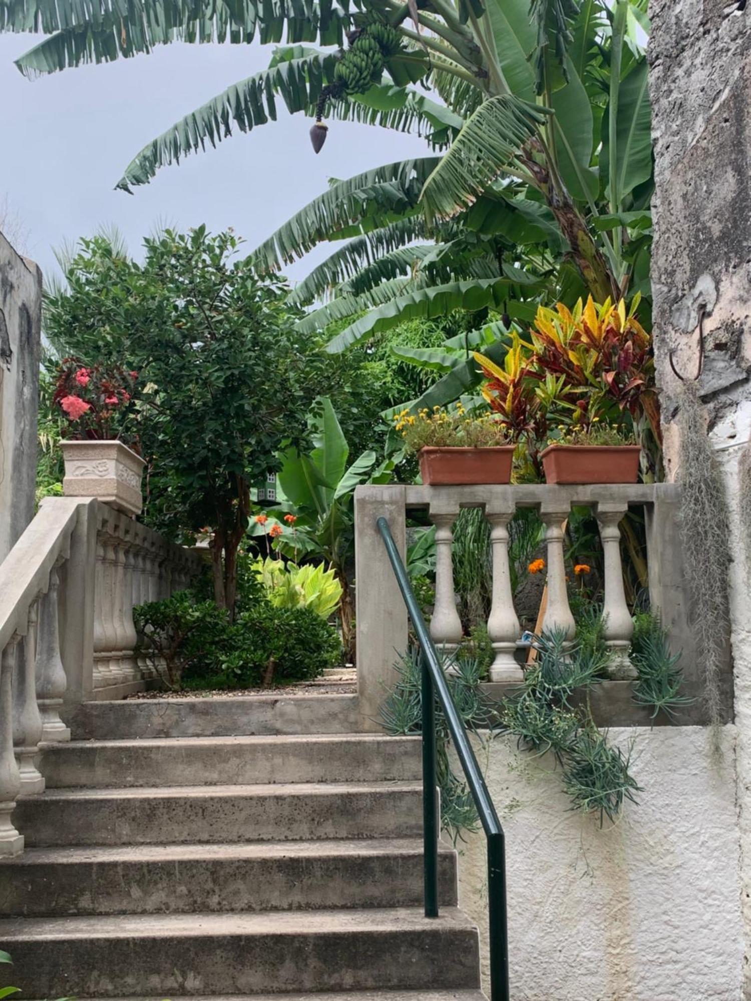 Vitorina Corte Guesthouse Funchal  Eksteriør billede